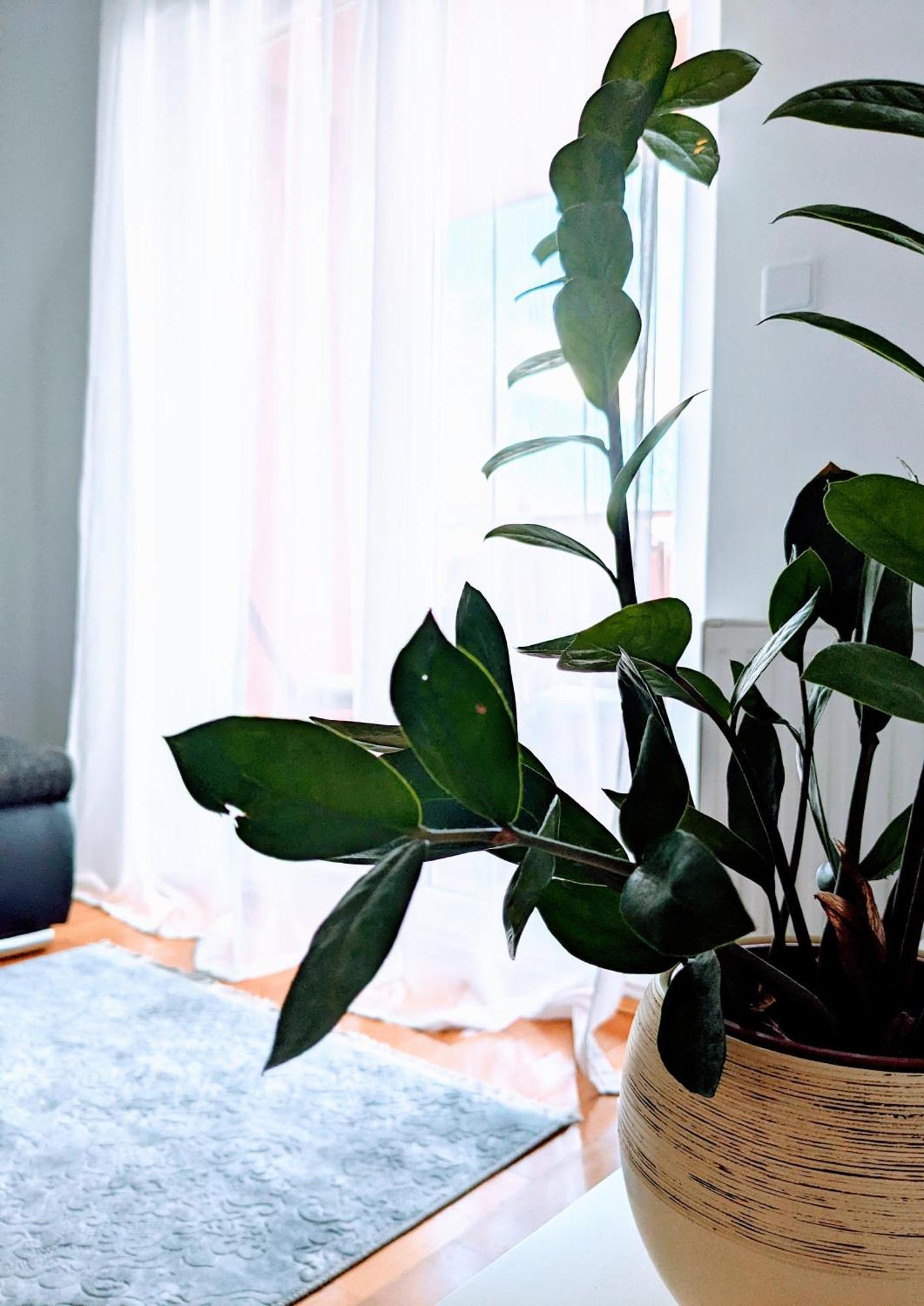 Doma-Lu Apartment-Near Airport And Highway- Free Parking Velika Mlaka Extérieur photo